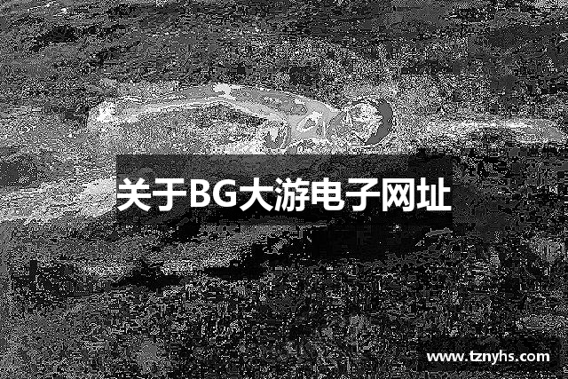 关于BG大游电子网址